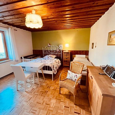 Familienapartments Mit Balkon Und Garten Ober-Lembach エクステリア 写真