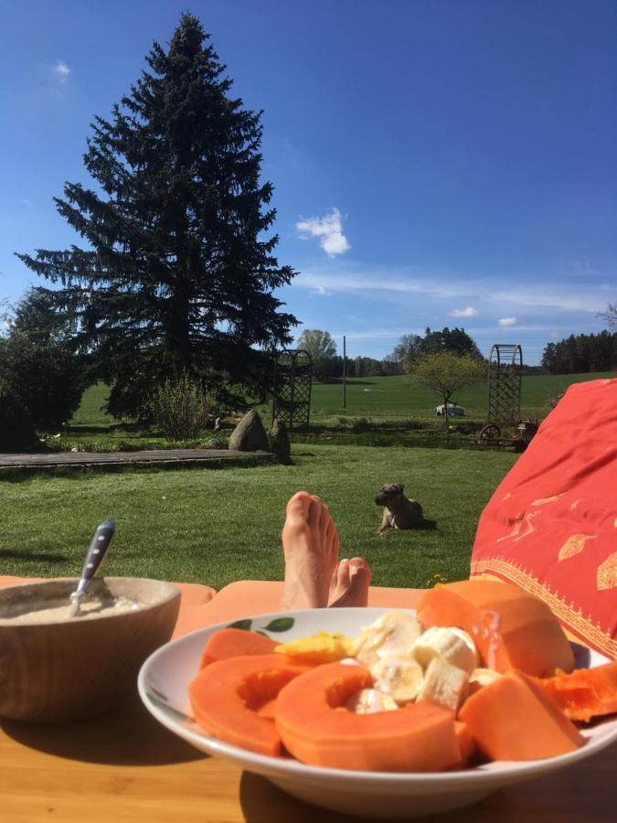 Familienapartments Mit Balkon Und Garten Ober-Lembach エクステリア 写真