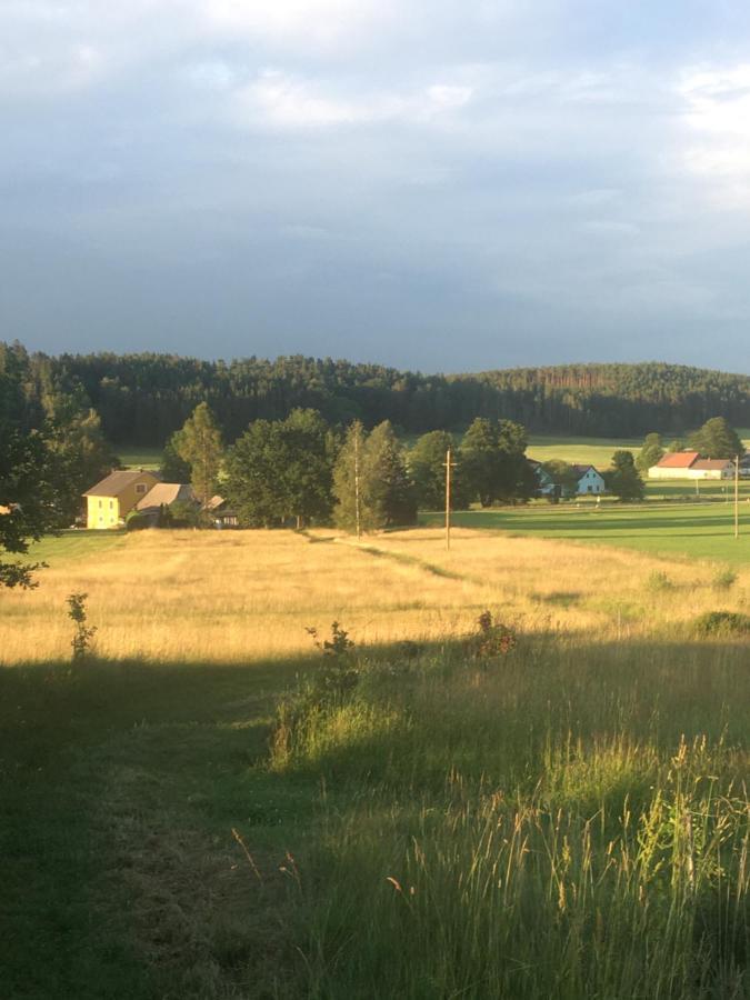 Familienapartments Mit Balkon Und Garten Ober-Lembach エクステリア 写真