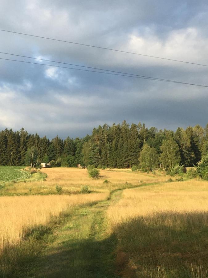 Familienapartments Mit Balkon Und Garten Ober-Lembach エクステリア 写真